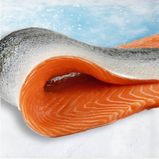 Salmón Coho